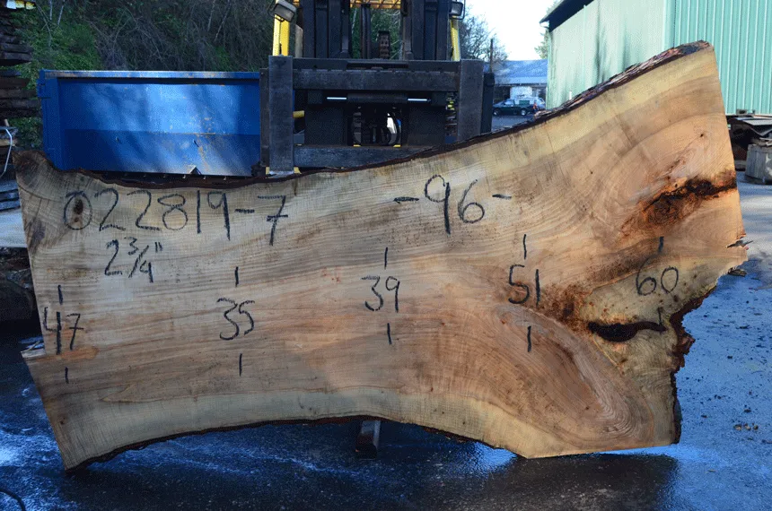 022819-07 Big Leaf Maple Slab