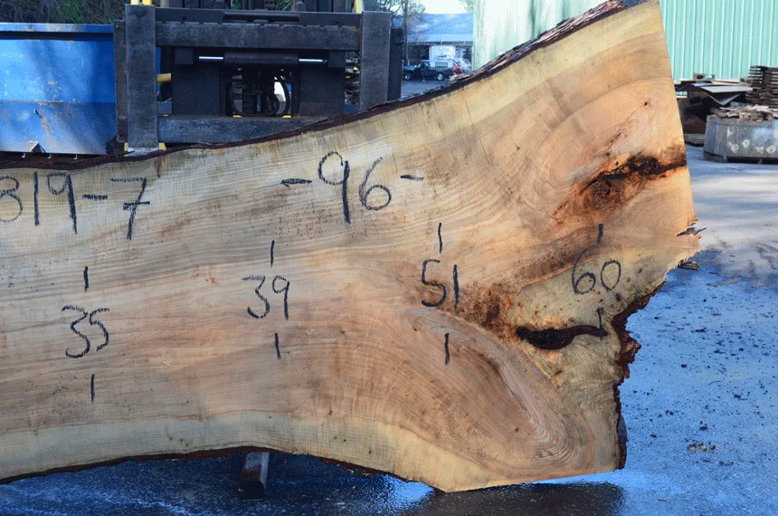 022819-07 Big Leaf Maple Slab