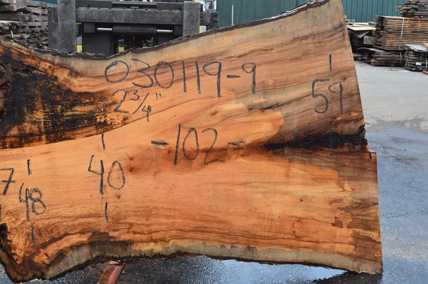 030119-09 Big Leaf Maple Slab