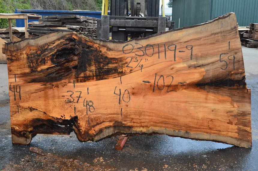 030119-09 Big Leaf Maple Slab