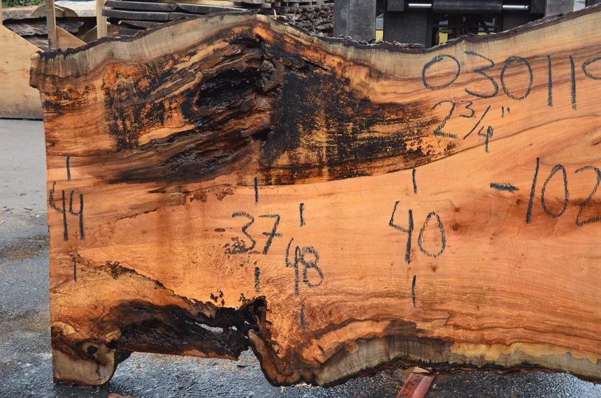 030119-09 Big Leaf Maple Slab