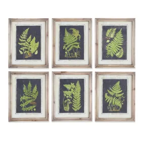 17" Framed Fern Print