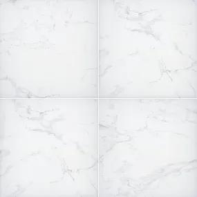 Arterra Porcelain Paver Praia Carrara - 24"x24"