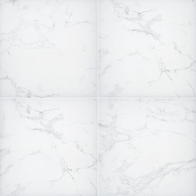 Arterra Porcelain Paver Praia Carrara - 24"x24"