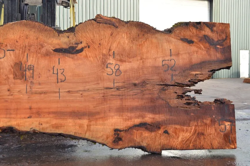 Big Leaf Maple Slab 032522-01