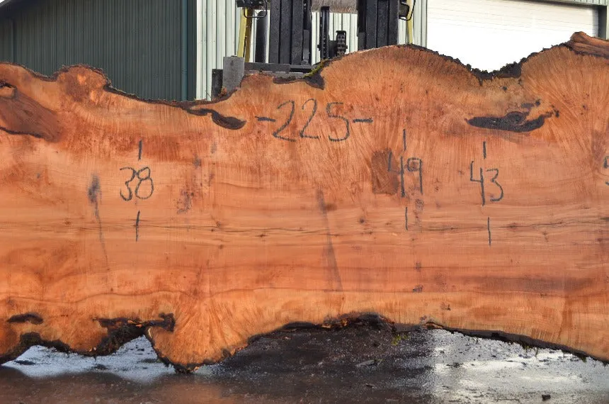 Big Leaf Maple Slab 032522-01