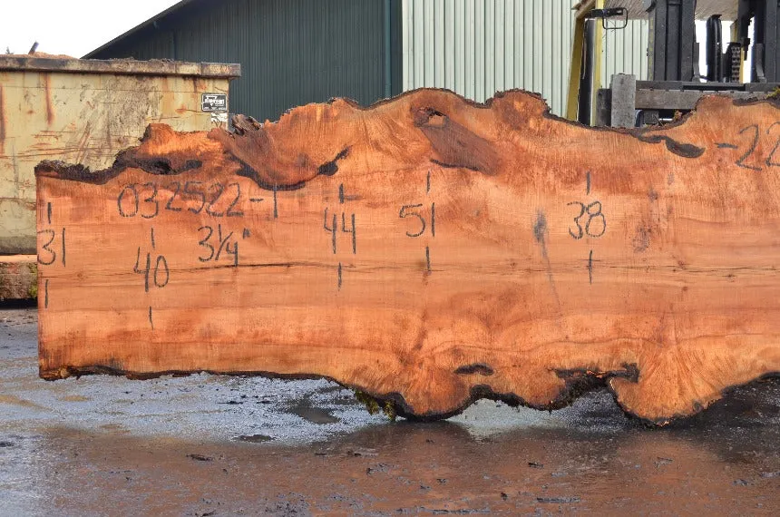 Big Leaf Maple Slab 032522-01