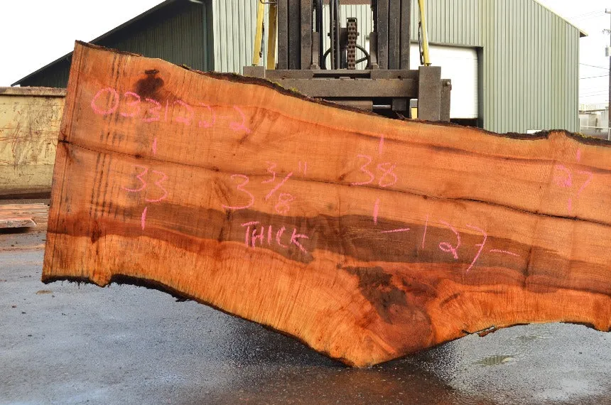 Big Leaf Maple Slab 033122-02