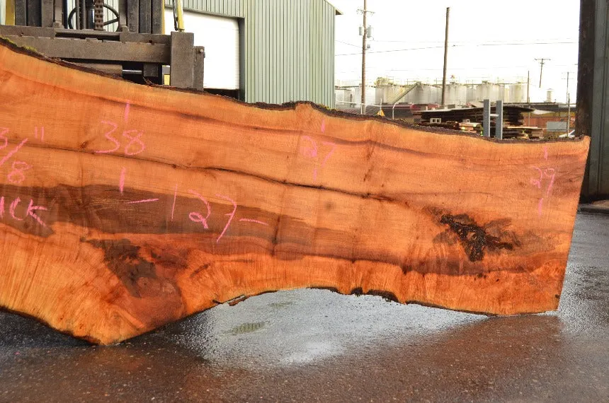 Big Leaf Maple Slab 033122-02