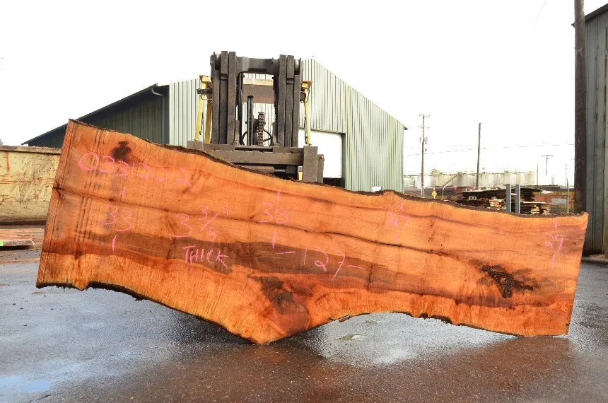 Big Leaf Maple Slab 033122-02