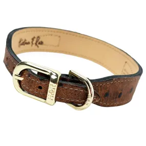 Italian Faux Ostrich Leather Dog Collar & Gold